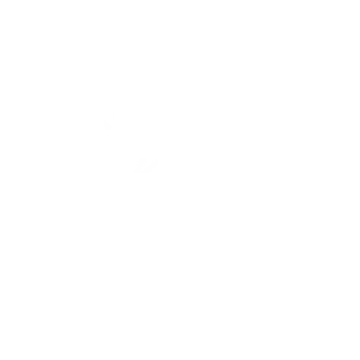 Ius Memoriae